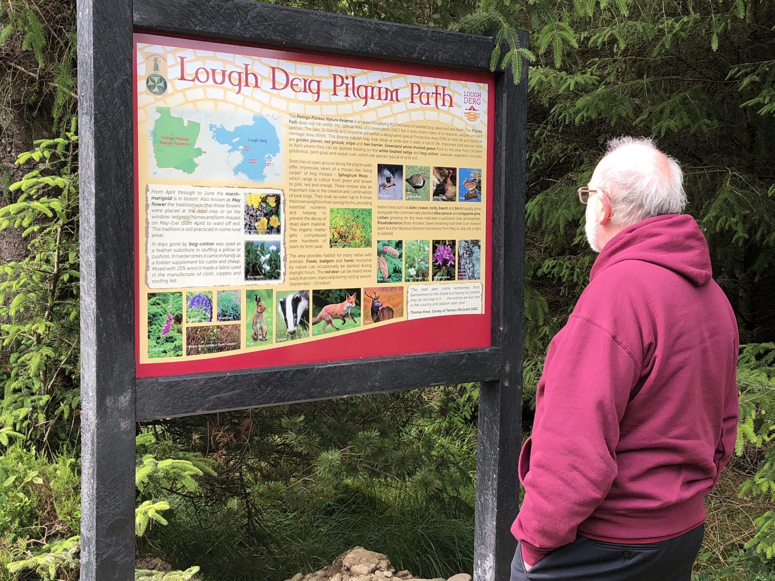 Pause and Ponder Lough Derg Pilgrim Path