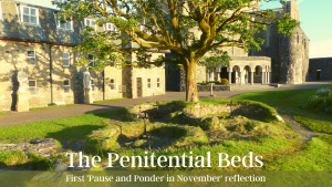 Pause and Ponder in November reflection - The Penitential Beds at Lough Derg